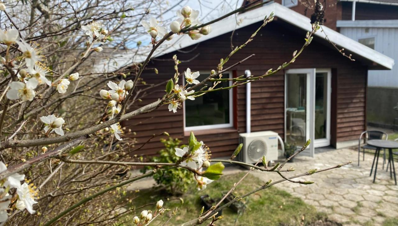 Cozy House With A Graden View Villa Herlev Buitenkant foto